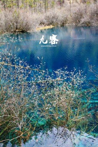 一个团伙盗窃要判多少年？游戏画面