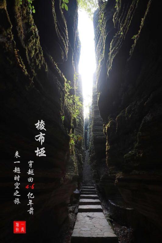 2024-2025年亚洲羽毛球锦标赛落户宁波