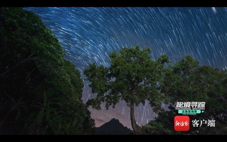三小只僵尸的游戏时间5
