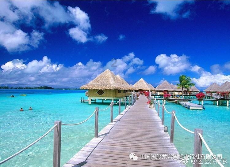 虫虫助手下载