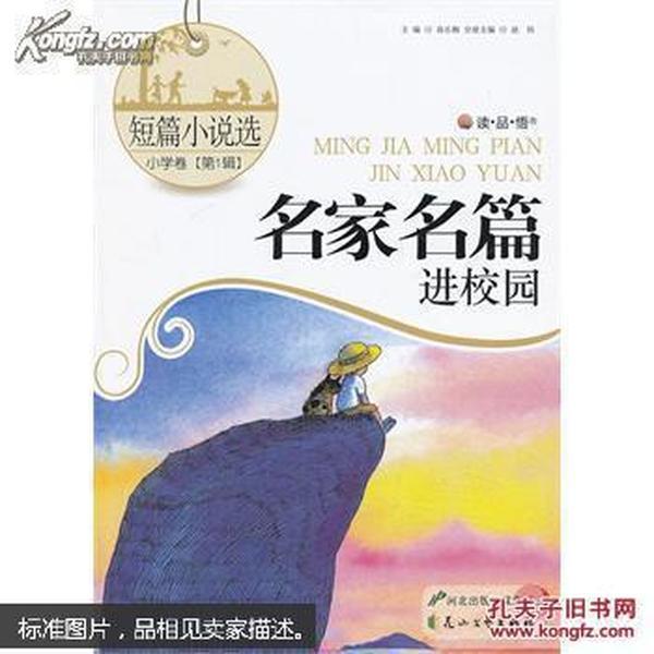 独眼萌怪的爱情