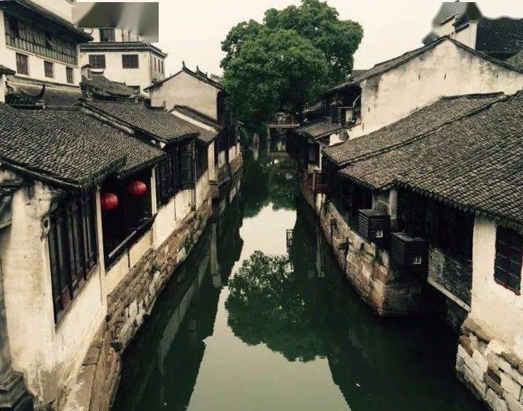 竹盐到底是不是骗局？游戏画面